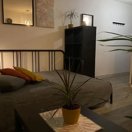 Cozy'nest Апартаменты *