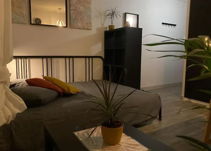 Cozy'nest Апартаменты *