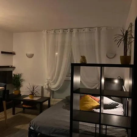 Cozy'nest Appartement Brest